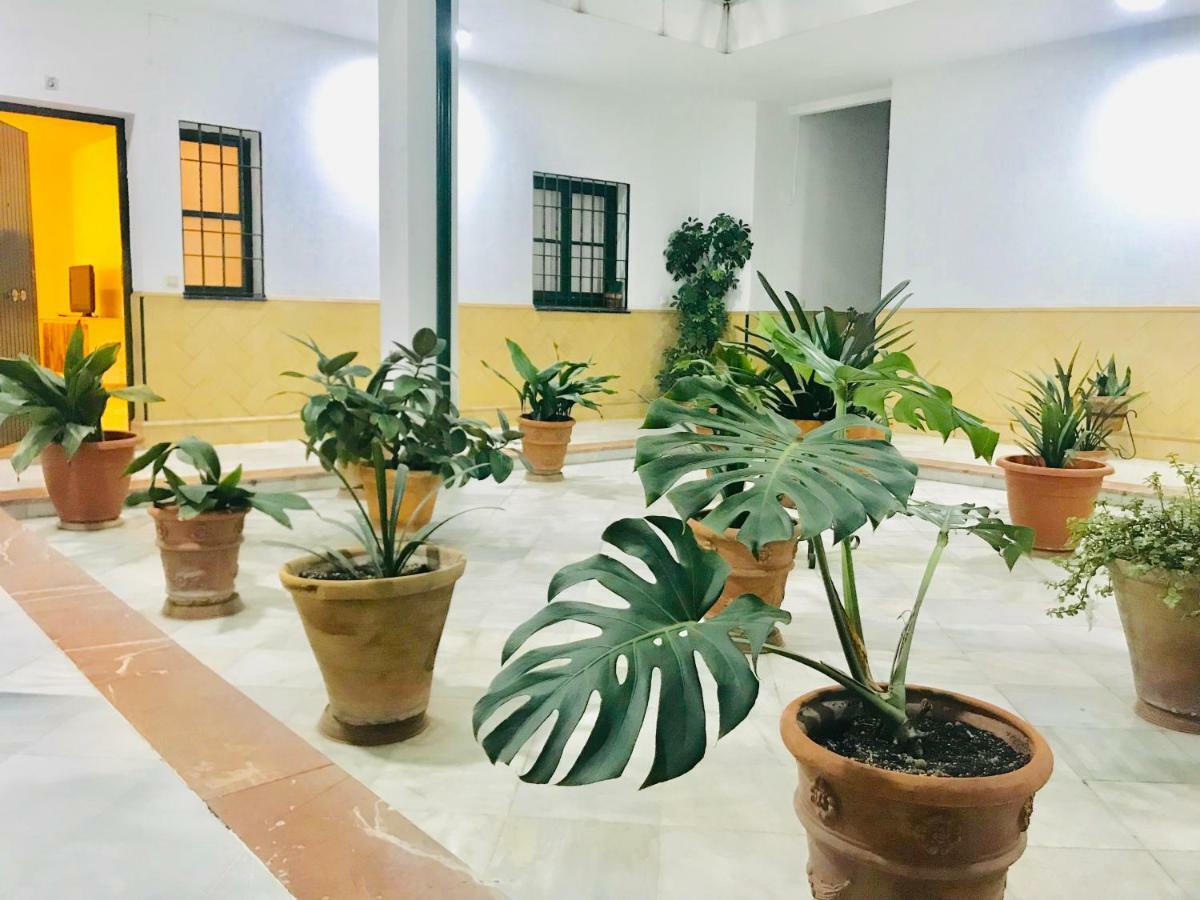 Los Patios De La Juderia Sevilla Exterior foto